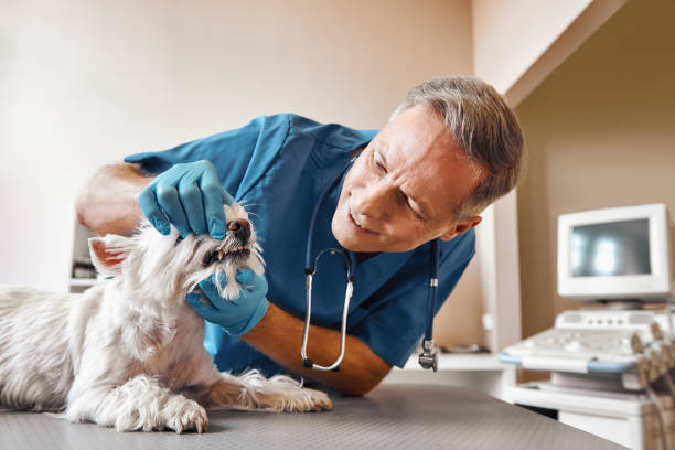 Best Emergency Dentist for Lost Fillings or Crowns in Larned, KS
